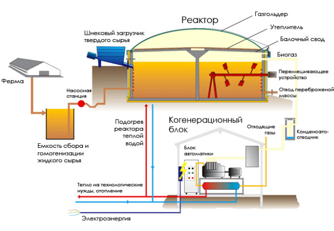 Принципиальная схема биогазовой установки