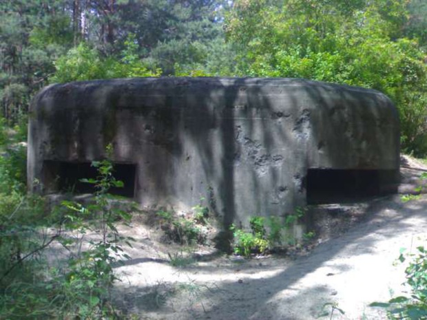 дот на линии молотова